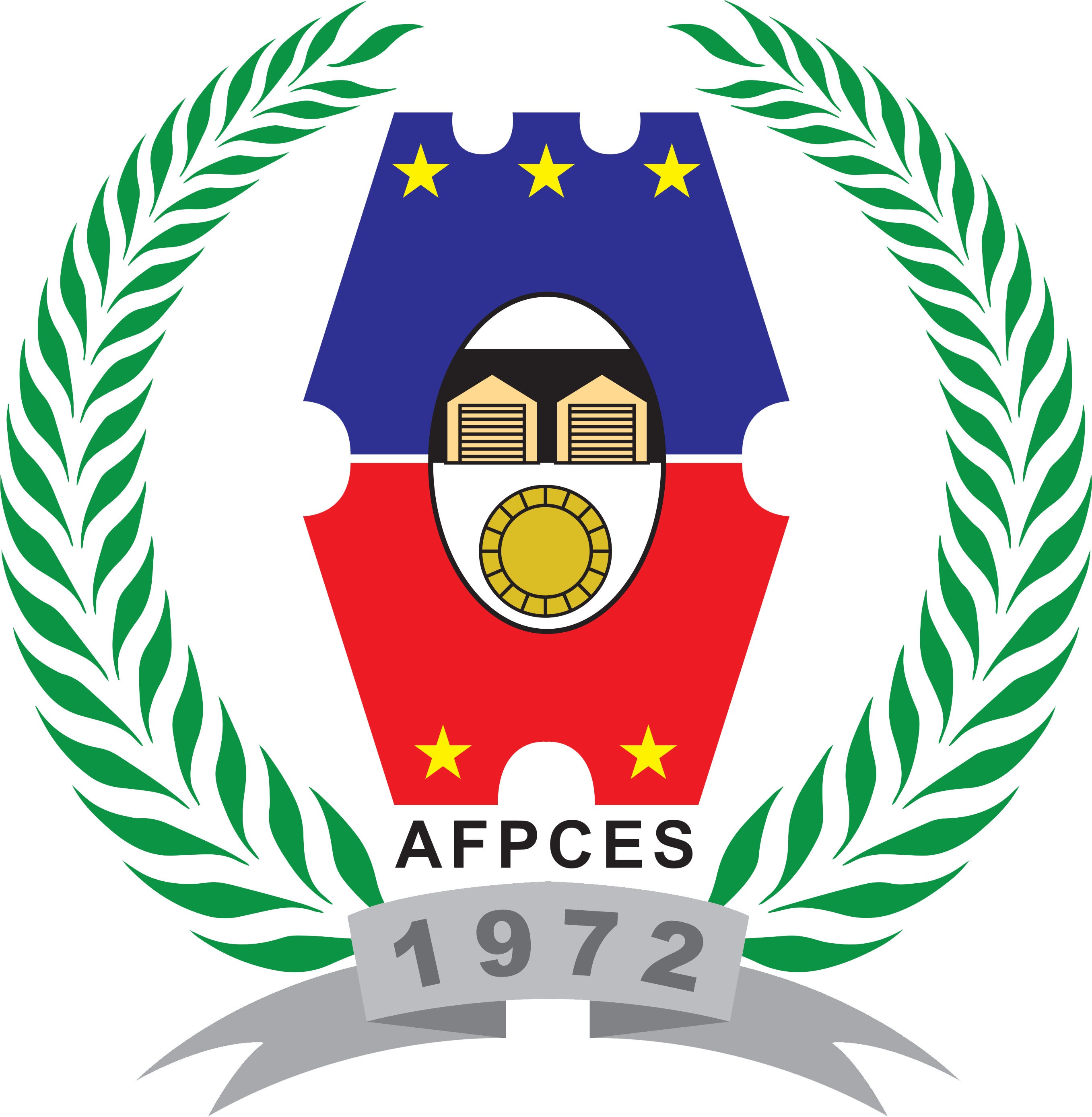 AFP Organization